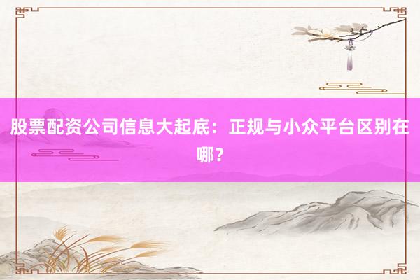 股票配资公司信息大起底：正规与小众平台区别在哪？
